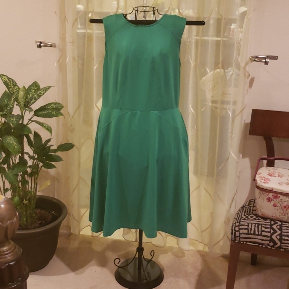 Dress Barn Green Fit and Flare Dress